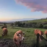 Les De La Petite Taupe - Jo Apartament