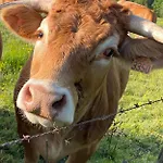 Apartament Les De La Petite Taupe - Jo Saint-Omer (Calvados)