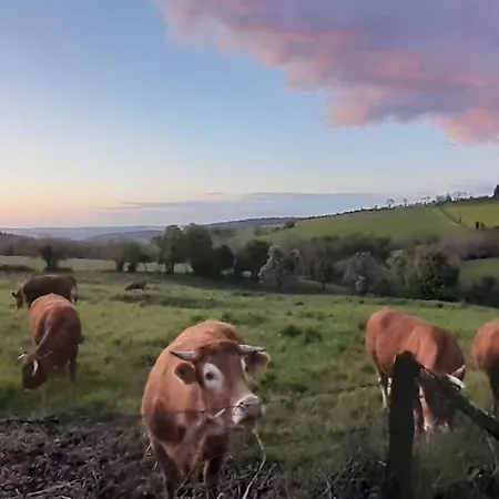 Les De La Petite Taupe - Jo Apartment