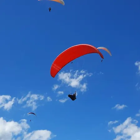 Les De La Petite Taupe - Jo Apartment