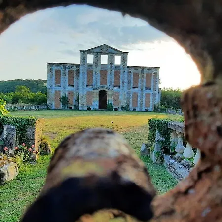 Les De La Petite Taupe - Jo *