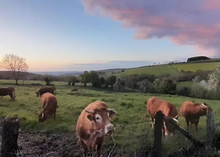 Les De La Petite Taupe - Jo Apartament