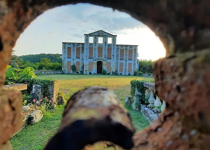 Les De La Petite Taupe - Jo *