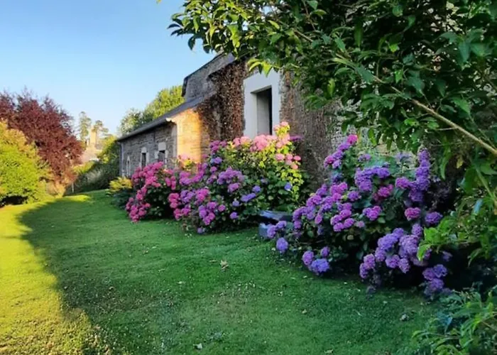 Les De La Petite Taupe - Jo * Saint-Omer (Calvados)