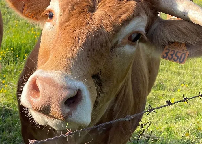 Apartament Les De La Petite Taupe - Jo Saint-Omer (Calvados)
