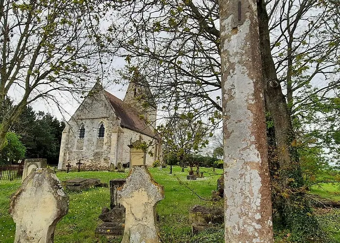 Les De La Petite Taupe - Jo Saint-Omer (Calvados)